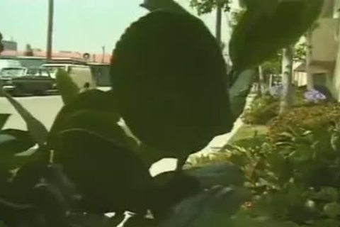 hombre arado afortunada adolescente