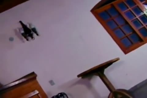 Ladymorada rubia brasileña clavando a su novio