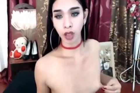 attraktiver zierlicher Tittendame-Ladyboy-Webcam