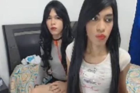 Zwei süße Ladyboys saugen und ficken