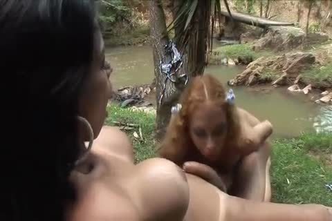 tranny Doesn't Have Her cock Anymore