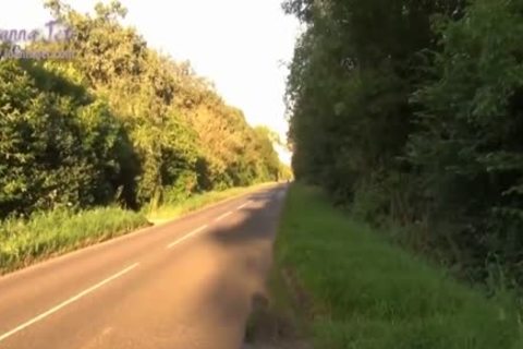 Delicioso travesti perforado en el bosque