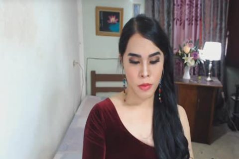 Schöner orientaler Trans-Penis live wichsen