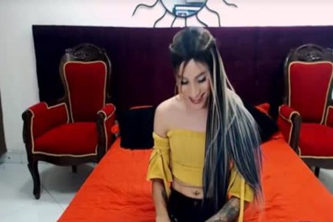 shemale honey With Tattoo Masturbate On cam
