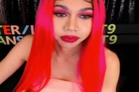 Monsterschwanz-Ladyboy in rosa Unterwäsche kommt und verschlingt sich selbst vor der Webcam