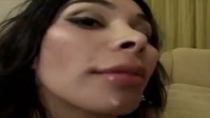 Vaniity dama comestible - compañera puta