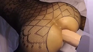 STACY Anal casero con holms de 4,5 kg