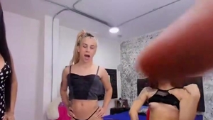 Transexual bellezas tiene un poco de trío disfrute