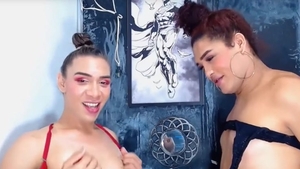 pareja de ladyboys se complacen mutuamente con sus pollas gigantes