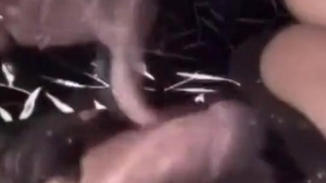 Cumming 4