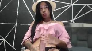Ladyman de polla dura juega