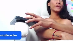 Schmutziger großer Penis kolumbianscher Shemale POV-Spiel