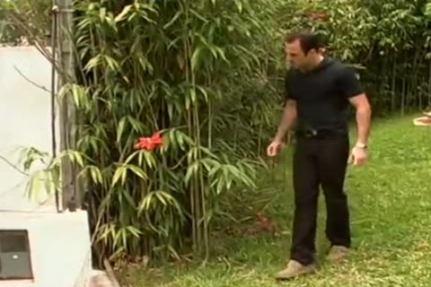 martillando wazoo en la naturaleza: onda de choque