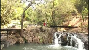 malvado culo transsexual outdoor golpeando