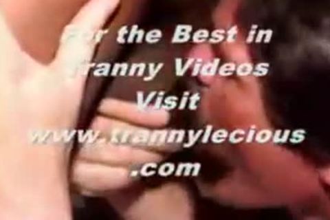 Pareja excitada haciendo sexo lujurioso